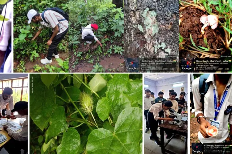 Local Educational Trip to Canary Hills on 22 July, 2026